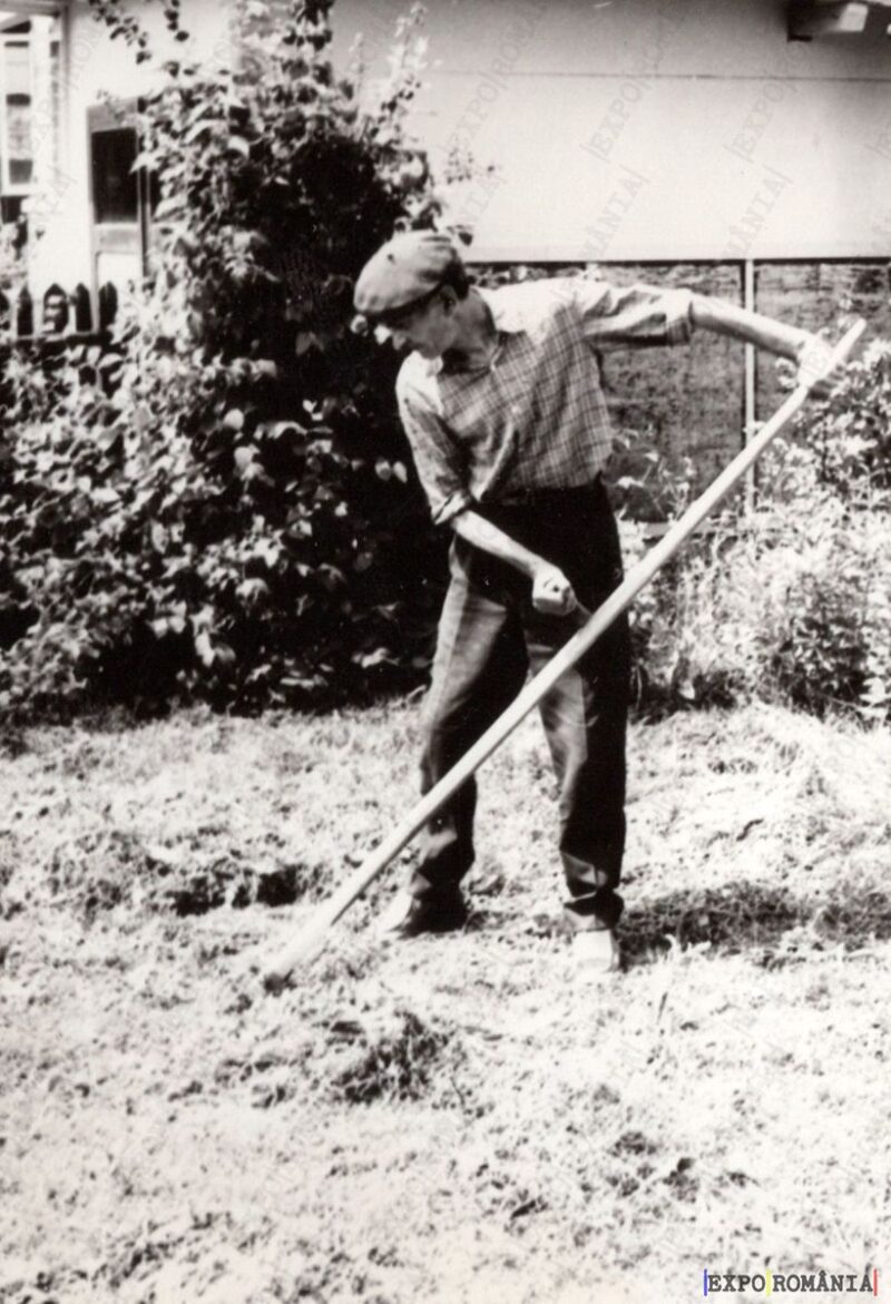Bărbat Cosind în Curtea Casei - Anii '80