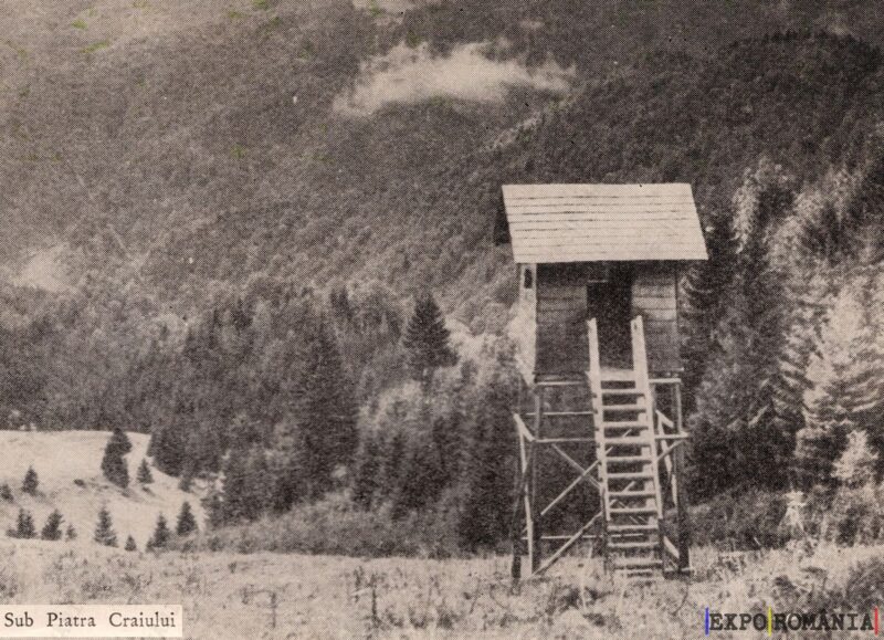 Brașov Piatra Craiului Observator Vânătoare - Anii '80