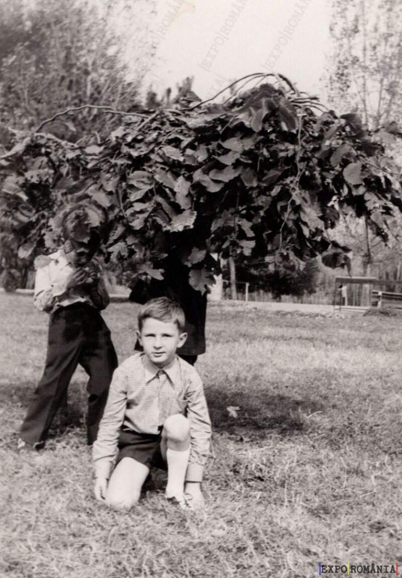 Copii în Curtea Scolii - Anii '80