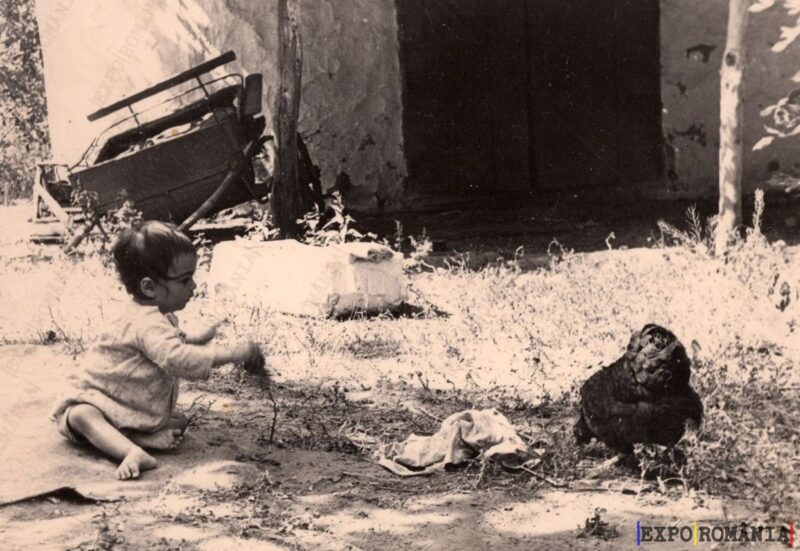 Copil în Curte cu Găină - Anii '80