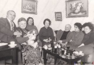 Întrunire de Familie - Anii '80