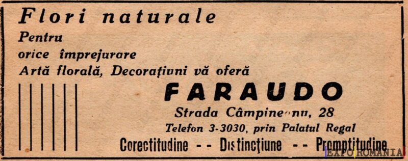 Reclamă Faraudo