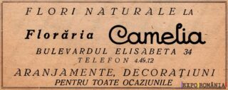 Reclamă Floraria Camelia