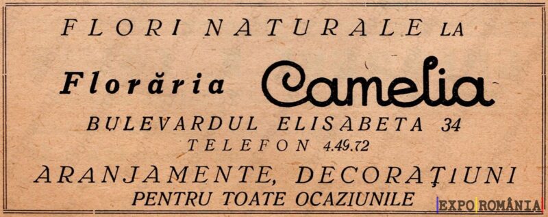 Reclamă Floraria Camelia