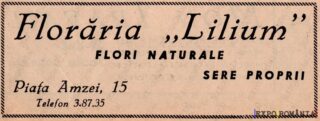 Reclamă Lilium