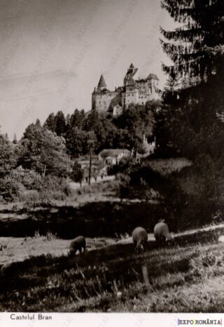Carte poștală - Castelul Bran - Județul Brașov - Anii '60 - 01