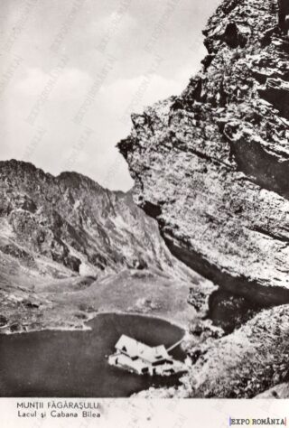 Carte poștală - Făgăraș - Județul Brașov - Anii '60 - 01