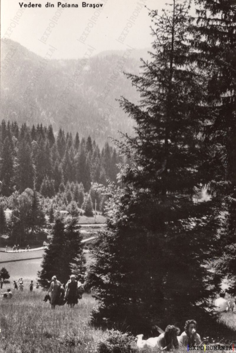 Carte poștală - Poiana Brașov - Județul Brașov - Anii '60 - 07