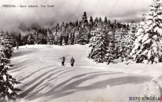 Carte poștală - Predeal - Județul Brașov - Anii '60 - 02