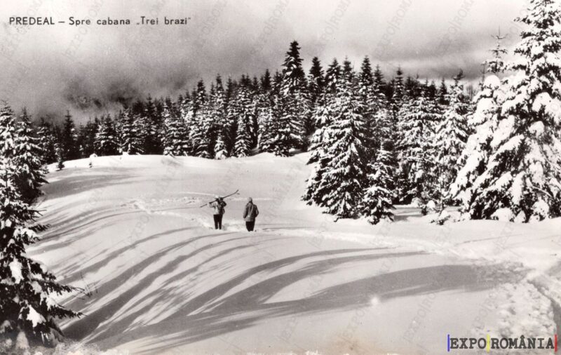 Carte poștală - Predeal - Județul Brașov - Anii '60 - 02