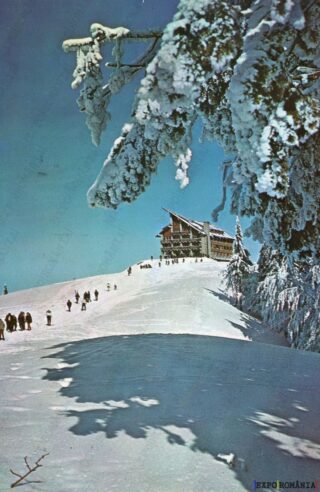 Carte poștală - Predeal - Județul Brașov - Anii '60 - 03