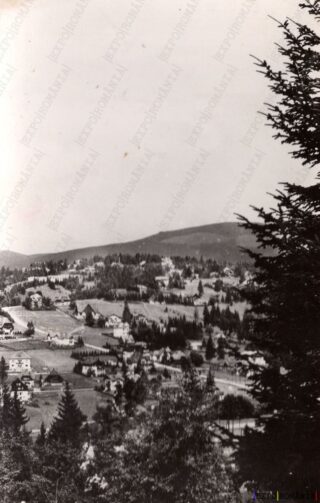 Carte poștală - Predeal - Județul Brașov - Anii '60 - 04