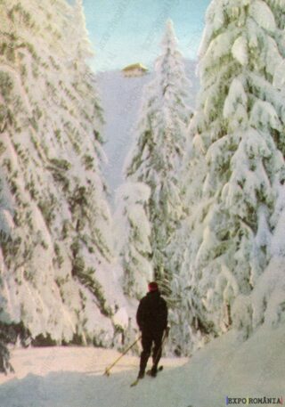 Carte poștală - Județul Brașov - Anii '80 - 26